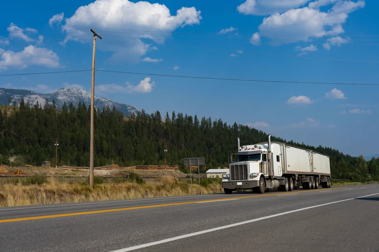 Camión de transporte de mercancías en carretera